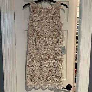 Dress, Lace with skin tan skin tone underneath,size 8, sleeveless, Eliza J brand